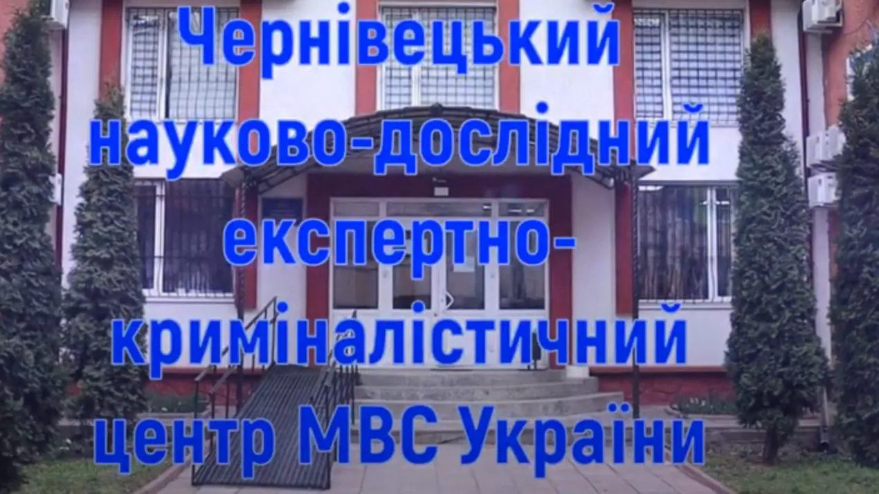 Галерея